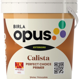 Birla Opus Calista Perfect Choice Primer